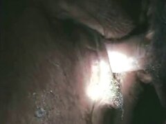 Fisting animal porn