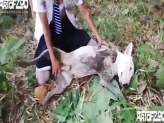 Milf animal tube