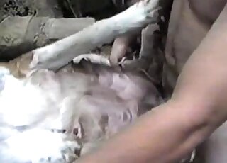 Passionate fucking movie shows a guy fucking a beast in mish