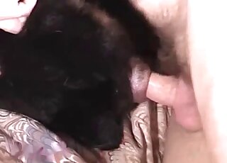 Dude uses that dick to fuck a dog's pussy in a kinky fashion here