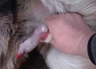 Dude gives this animal a nice handjob in a hot porno movie here