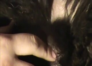 Black horse pussy getting fingered happily by a long-fingered zoophile