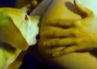 Round ass zoophile enjoys rimjob before dog uses its cock to fuck