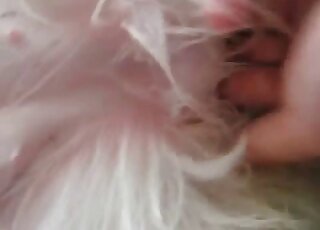 Pink pussy animal is going to get fingered and then some in free XXX