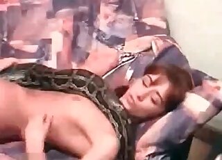 Horny naked babe is enjoying making out with a python indoors