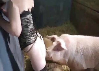 Pig fucking scene with a sexy animal that wants to ruin MILF pussy