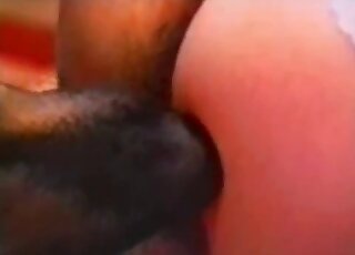 Animal sticks its nose and tongue in between those sexy cheeks