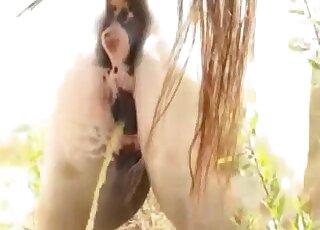 Outdoor dog fucking experience featuring a very hung brown stallion