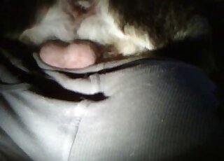 Dude uses his meaty penis to fuck this creature in a hot fashion