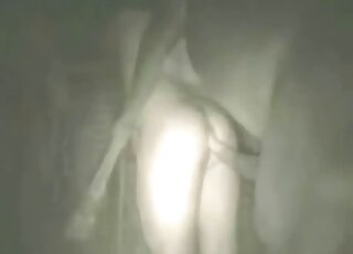 Un énorme pénis de cheval va détruire le cul serré de ce zoophile