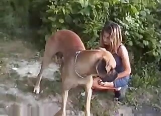 Brown dog easily seduces a tight-bodied babe in a skintight dress