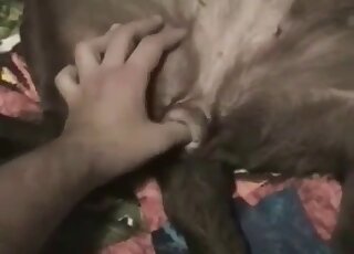 Dude inserting one of his fingers into this animal's greedy butthole