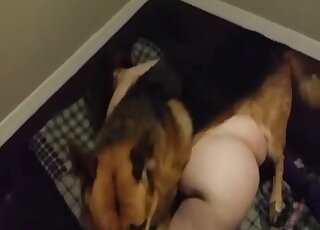 Black socks dude shows his ass and gets fucked after a nice rimjob