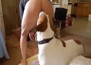 Dog wants to please his master by licking cock and ass before banging