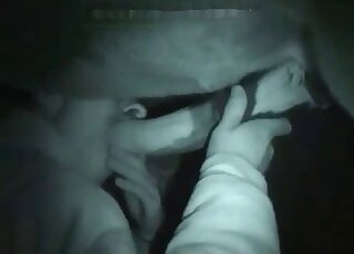 Amateur man is jerking off and sucking a giant horse dick in a barn