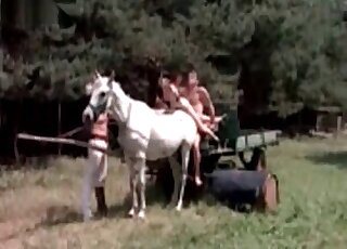 Dirty-minded dude fucks horse with two bitches on top of it