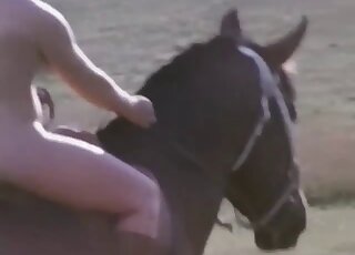 Vintage zoo sex - Chubby woman loves riding horses naked