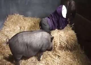 Chubby pig is impatient to bang the brunette doll in a barn