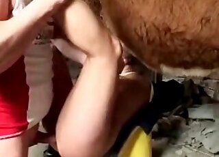 Zoophile slut gets fucked by a bull, while her boyfriend fucks her mouth