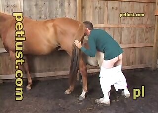 Dude bangs pony while munching on horse pussy in a stable