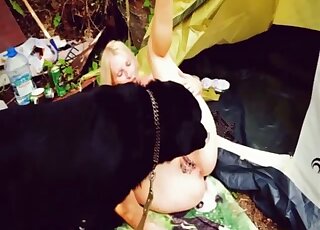 Black Labrador in heat gives blonde chick wild pounding