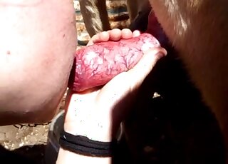 Cute babe taking care of a sensationally large animal penis here