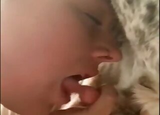 Attentive amateur licking all over this animal's hot penis in a BJ vid