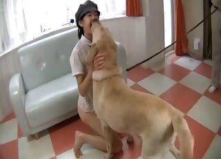 Stylish Asian babe opens her legs to let this dog eat her out greedily