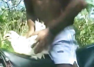 Latino roughly fucks a helpless chicken and films himself
