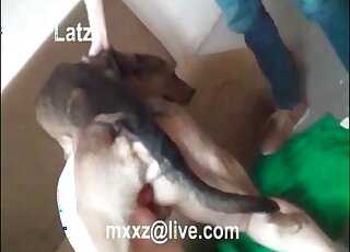 Happy dog enjoys hammering horny zoophile slut from behind