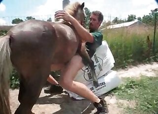 Zoophile stud lets horny horse bang his ass in a missionary position