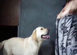 Brunette works her magic on pigs' dicks in brutal zoophilia