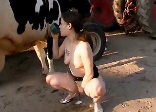 Bitch milks her cow to pour fresh milk over her clit and tits