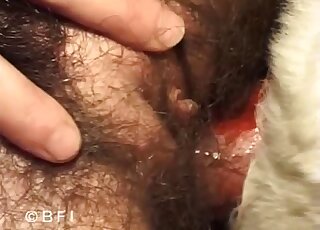 Skinny mature tries heavy animal dick in her hairy bush