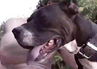 Furry dog humps both these ladies in crazy hardcore XXX zoo scenes