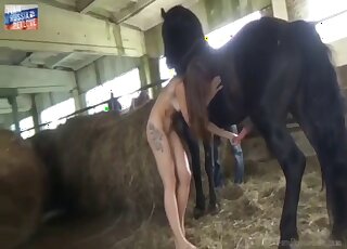 Sloppy animal farm porn with the babe throating the horse's cock