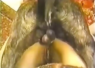 Dog roughly fucks blonde wife after she gives blowjob