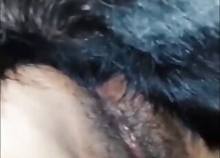 Fantastic fuck scene showing a hot animal that fucks her hot hole