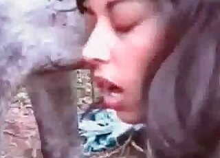 Filthy bitch gets an animal dick deep inside her wet vagina