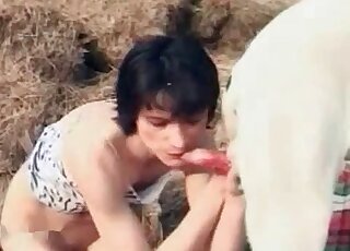 Skinny brunette passionately sucks dog shaft ourdoors