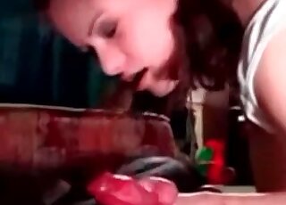 Hard red cock of a dog gets passionately sucked by zoophile bitch
