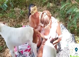 Attractive Hispanic women taking care of a beast's cock while outdoors