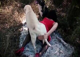 Red dress babe finds a white dog that fucks her on all fours