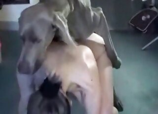 Skinny chick gets banged from behind by a grey dog in zoo porn