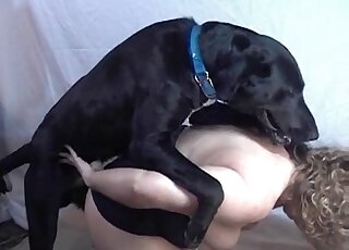 Close-up view of a pussy-hammering session between a chick and her dog