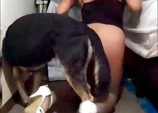 Nasty brunette shemale starts fucking with her dog at home in a zoo porn
