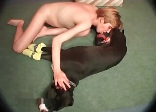 Short-haired whore gladly takes black dog's dick in her mouth