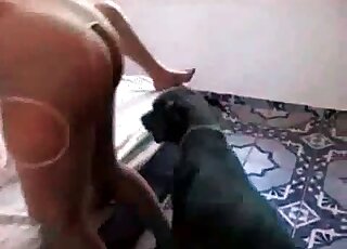 Two nasty zoophile bitches make out with one black dog on the bed