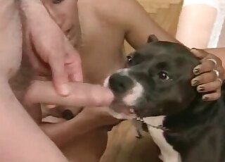 Clearly aroused couple fucking a dog's mouth in a taboo threesome