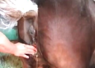 Lady with a meaty set of boobies fisting a mare's pussy brutally